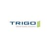 TRIGO Global Quality Solutions | Auto-jobs.ca